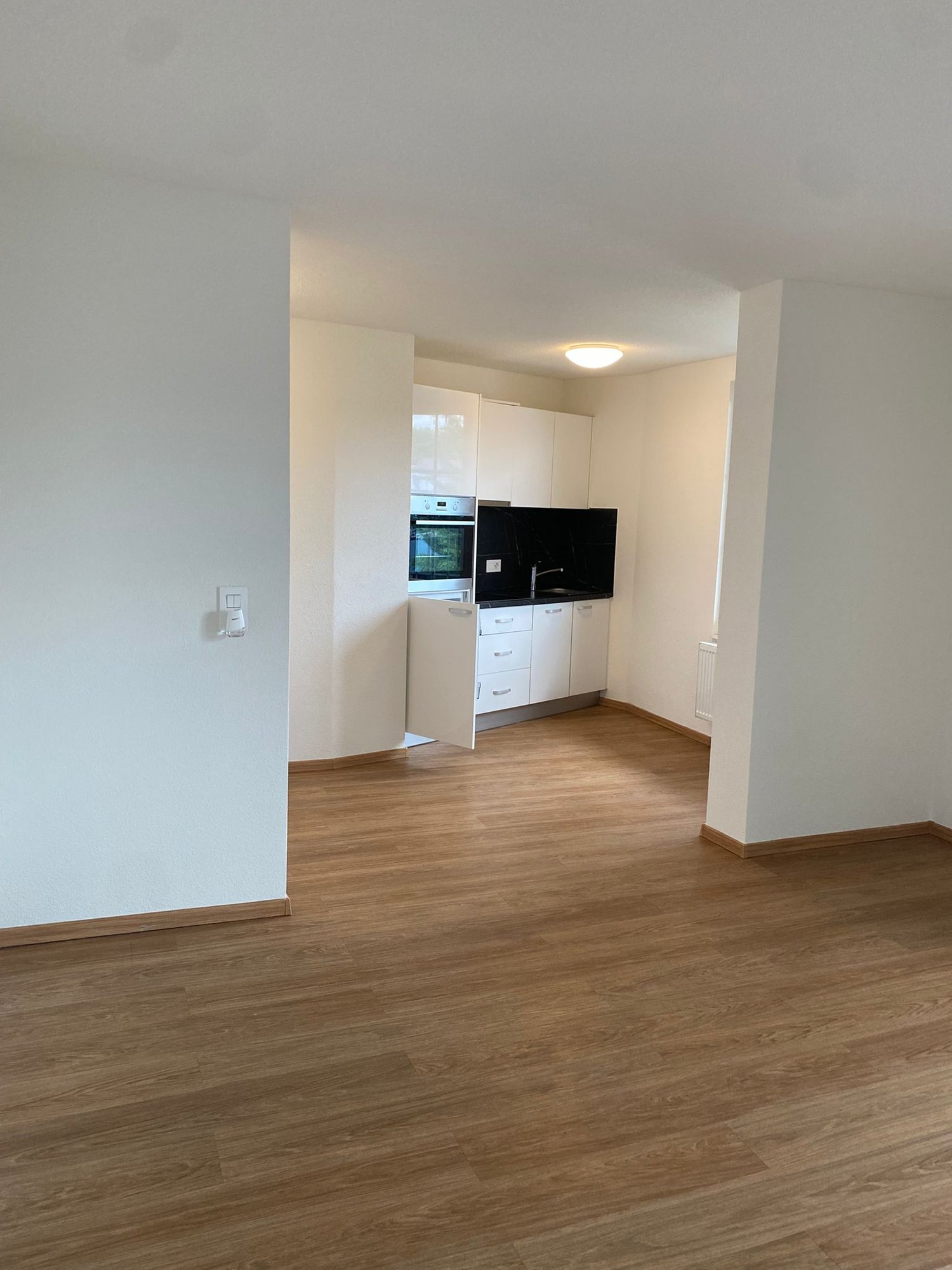 1 ½ rooms apartment, photo 4 sur 10