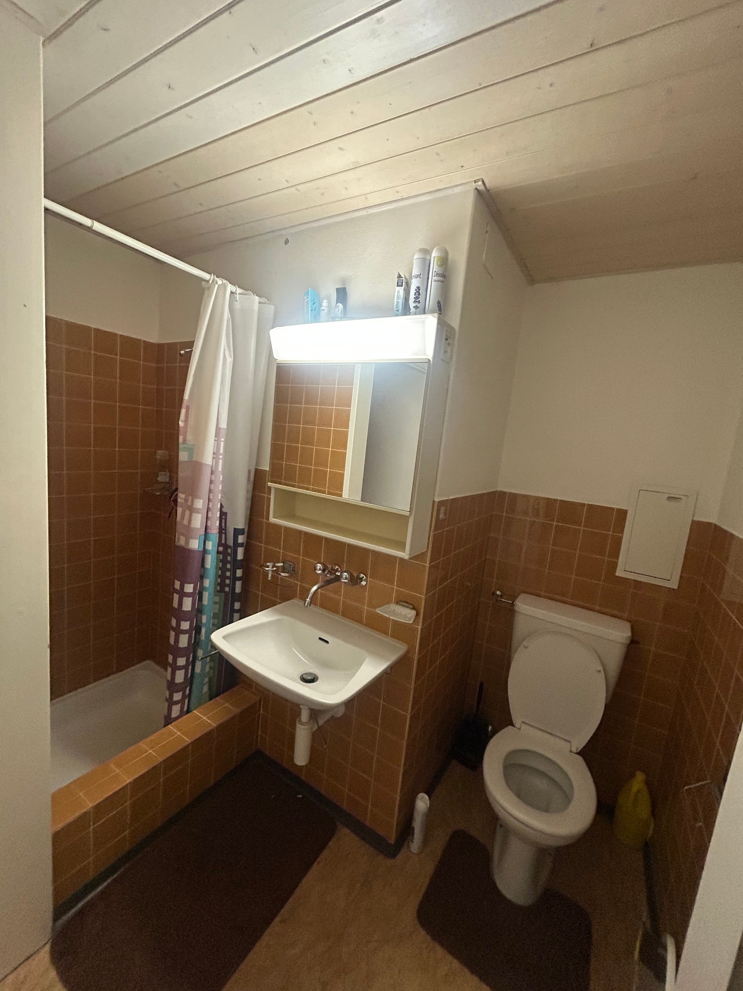1 room apartment
