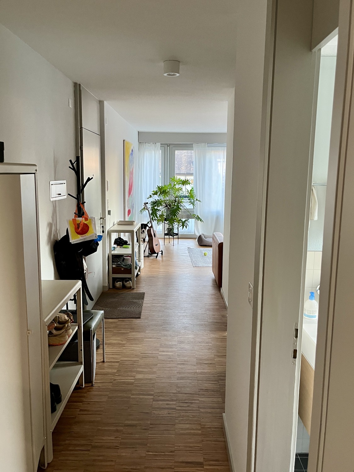 2 ½ rooms apartment, Foto 7 von 7