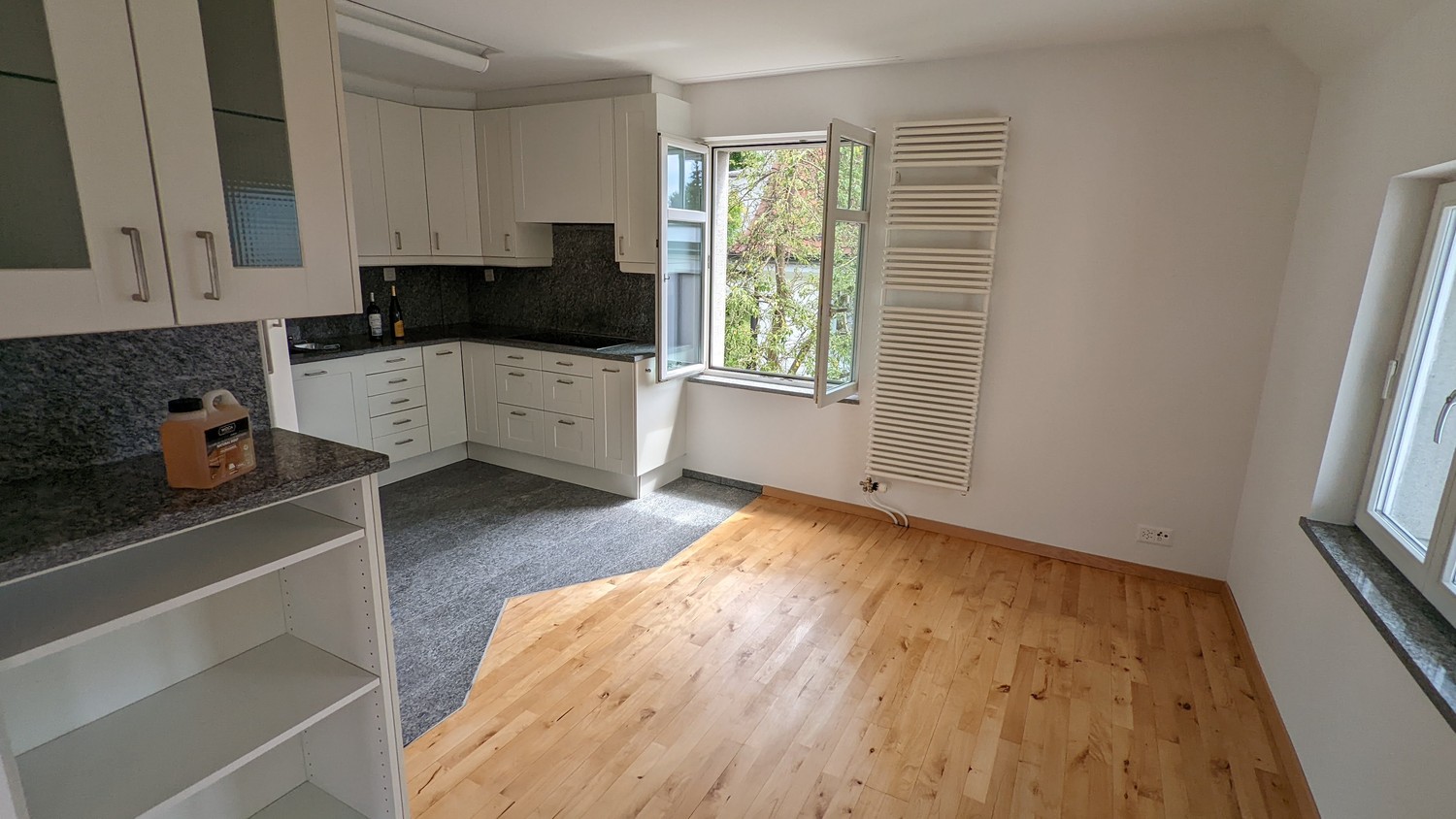 4 ½ rooms apartment