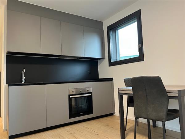 2 ½ rooms furnished flat