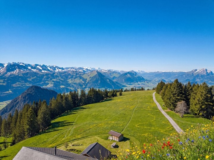 10033m² building land, Foto 5 von 8
