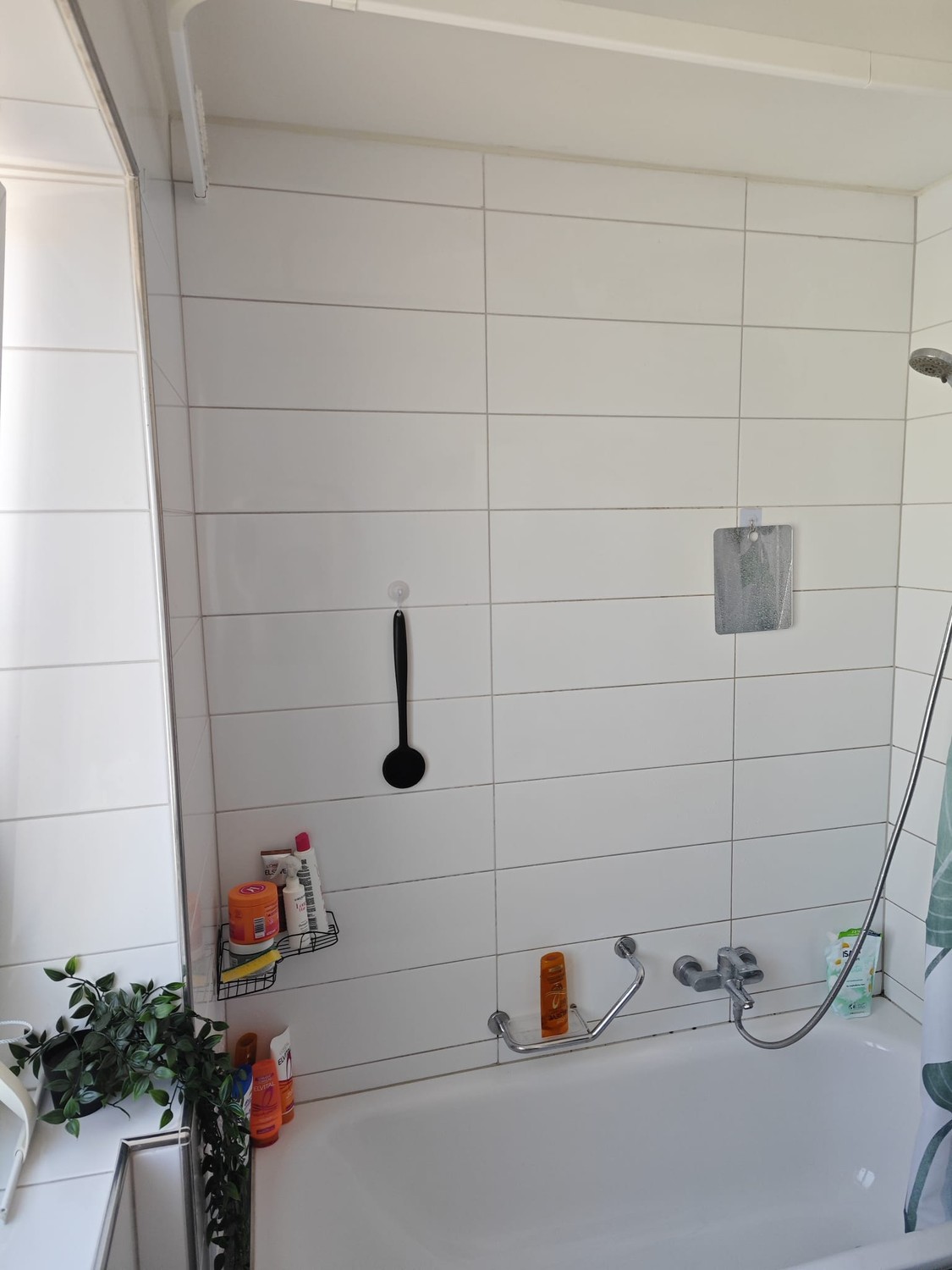 2 ½ Zimmer Wohnung, Foto 9 von 10