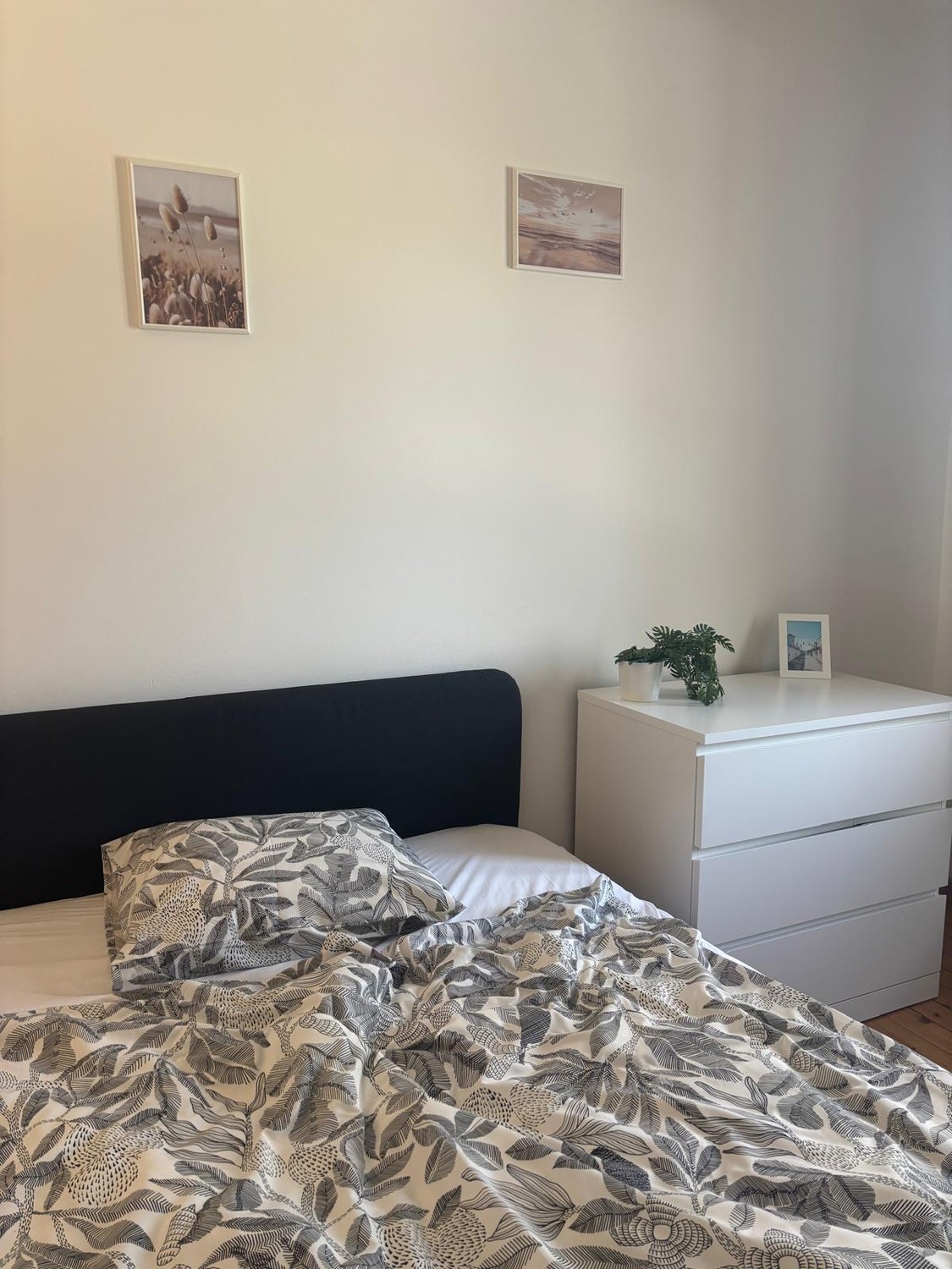 Room in a shared flat, Foto 3 von 6