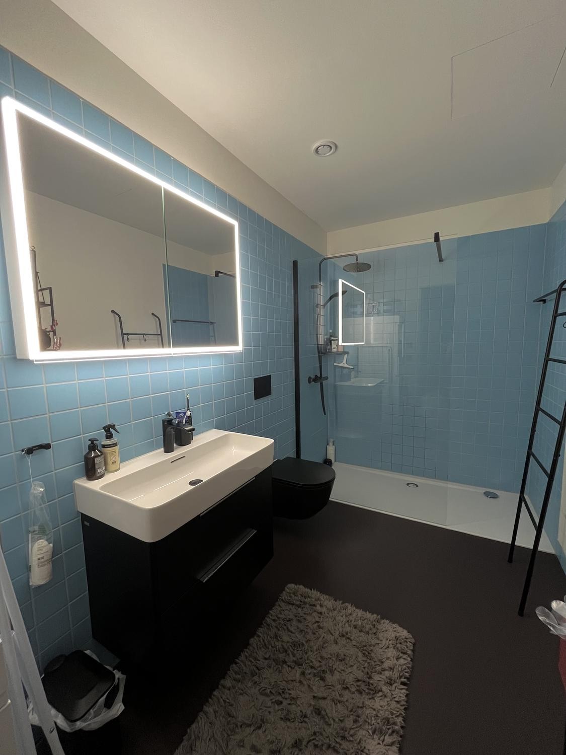 1 ½ rooms apartment, Foto 4 von 8