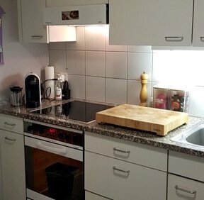 appartamento arredato di 2 locali