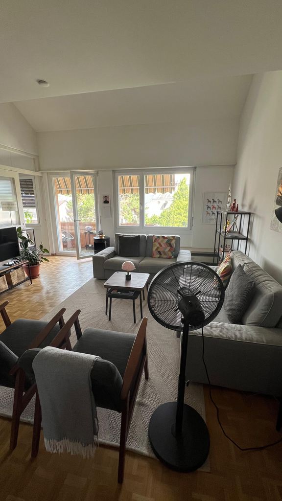 4 ½ rooms apartment
