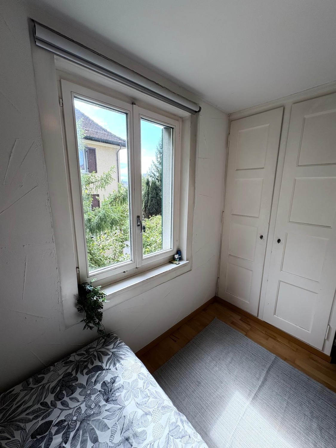 Zimmer in einer WG, Foto 2 von 8