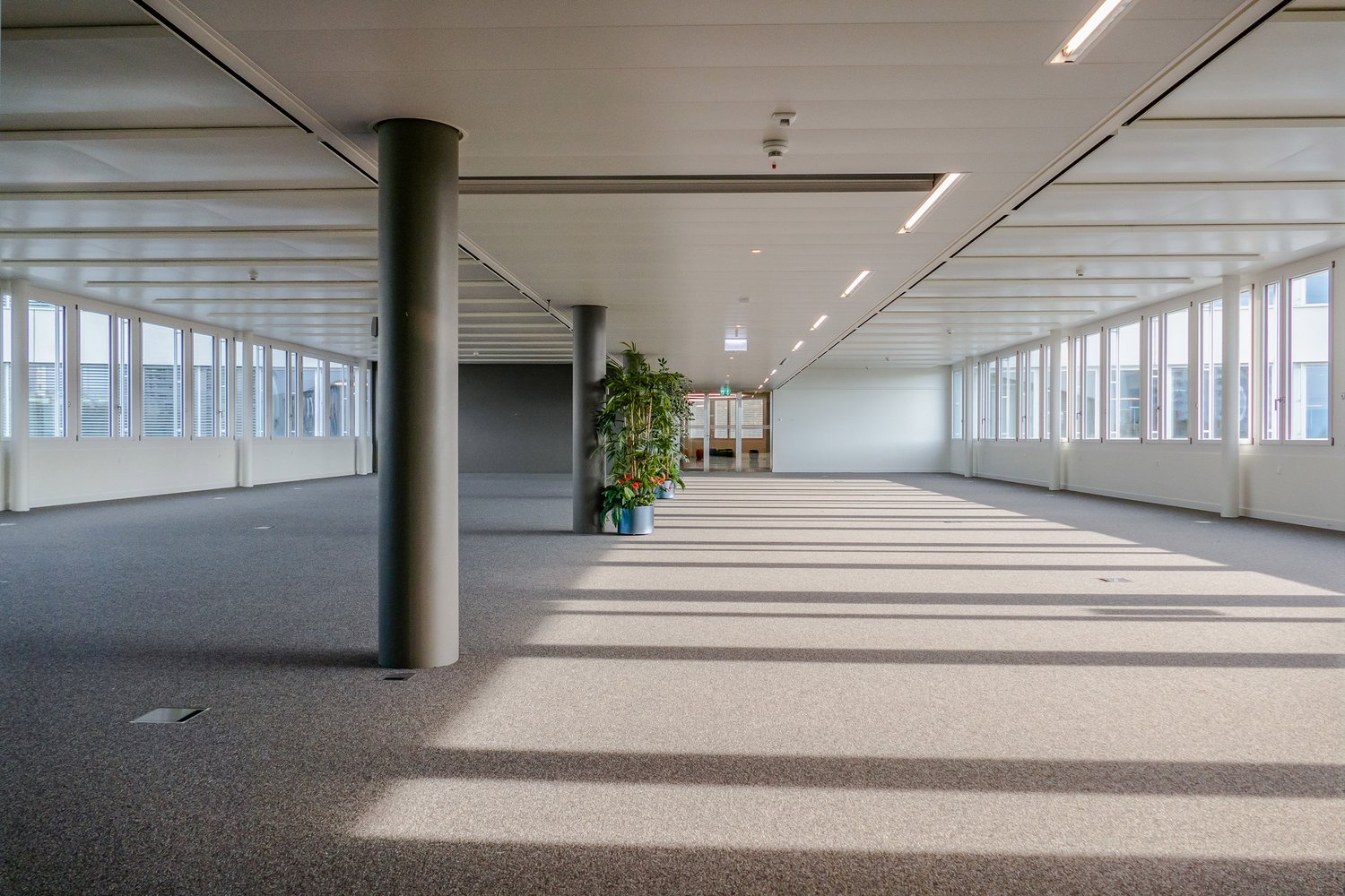 1424m² office, Foto 5 von 10