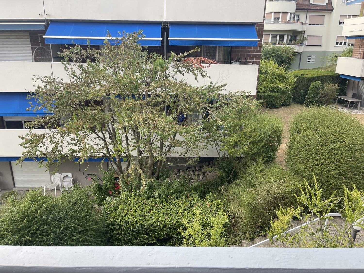 Neu renoviertes helles Studio in der Nähe des Bahnhofs Tiefenbrunnen - Zurich Seefeld, Foto 2 von 6