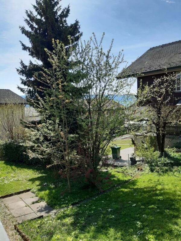 Appartement de 3 pièces, photo 1 sur 10