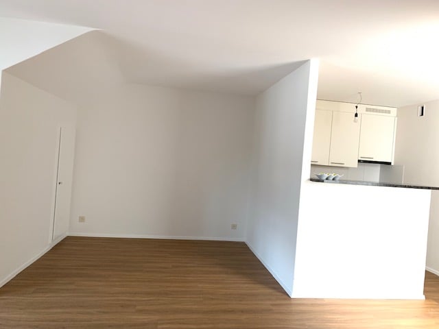 1 ½ Zimmer Dachwohnung