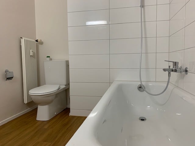 1 ½ Zimmer Dachwohnung