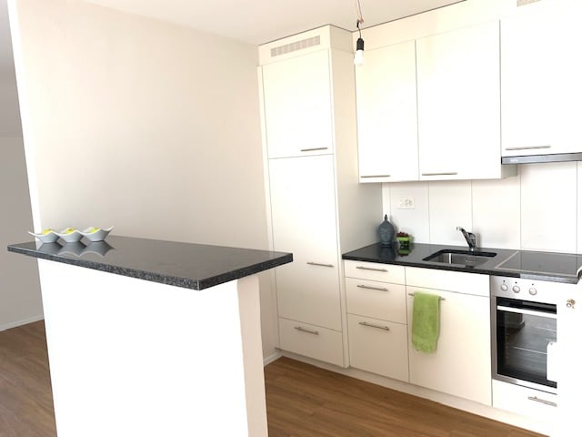 1 ½ Zimmer Dachwohnung