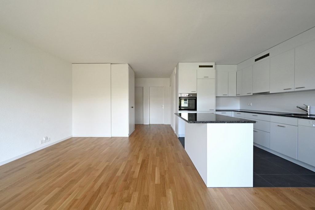 3 ½ rooms apartment (4)