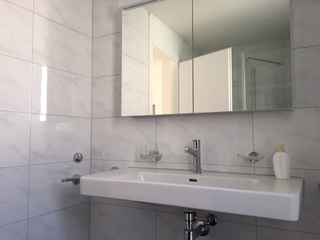 3 ½ rooms apartment (5)