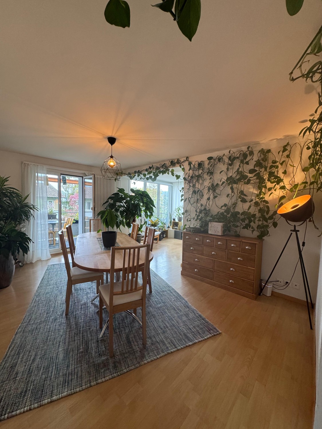 Appartement de 2 ½ pièces