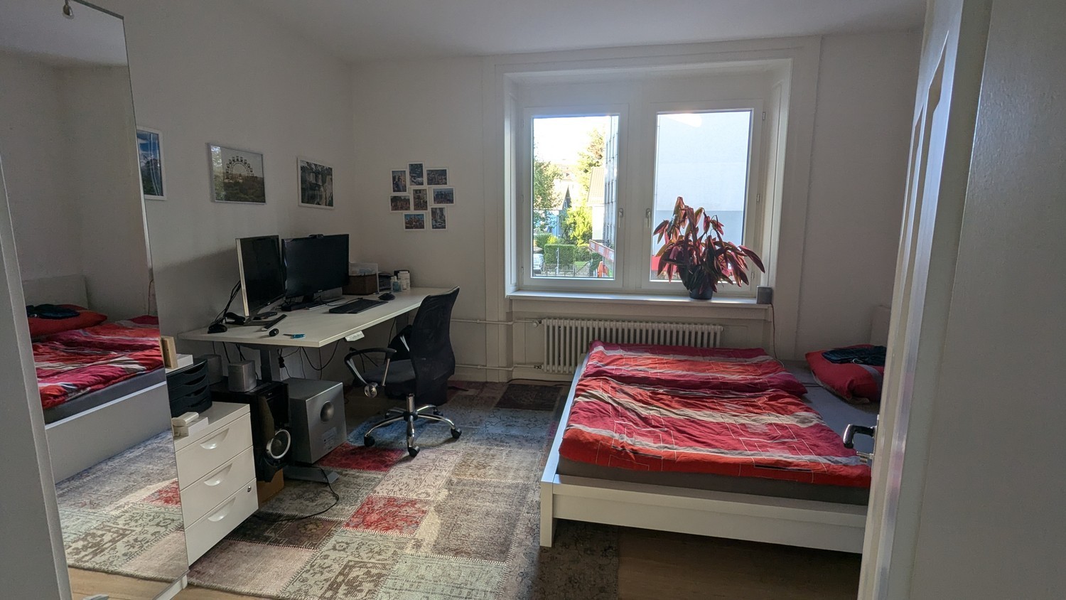 Room in a shared flat
