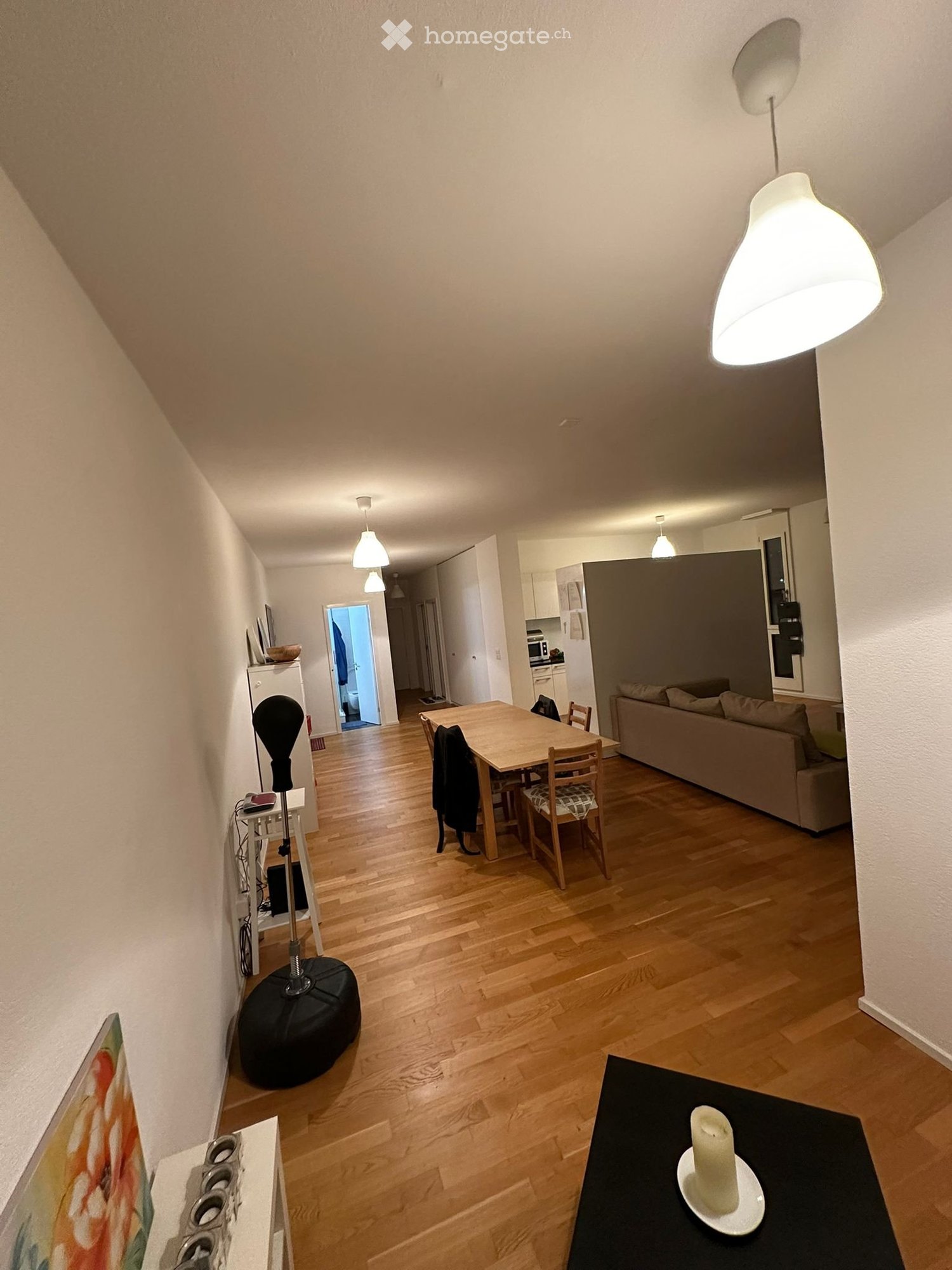 3 ½ Zimmer Wohnung