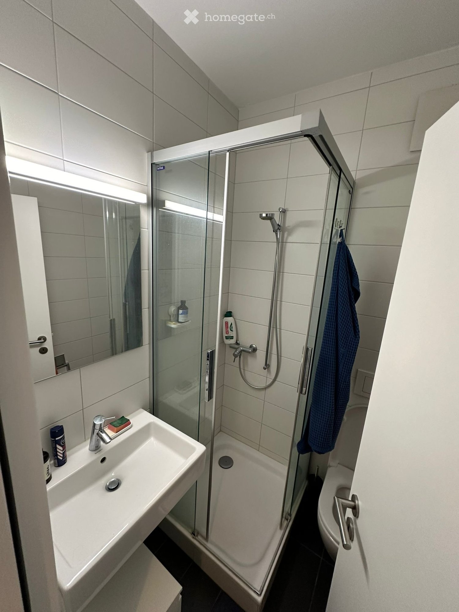 3 ½ Zimmer Wohnung