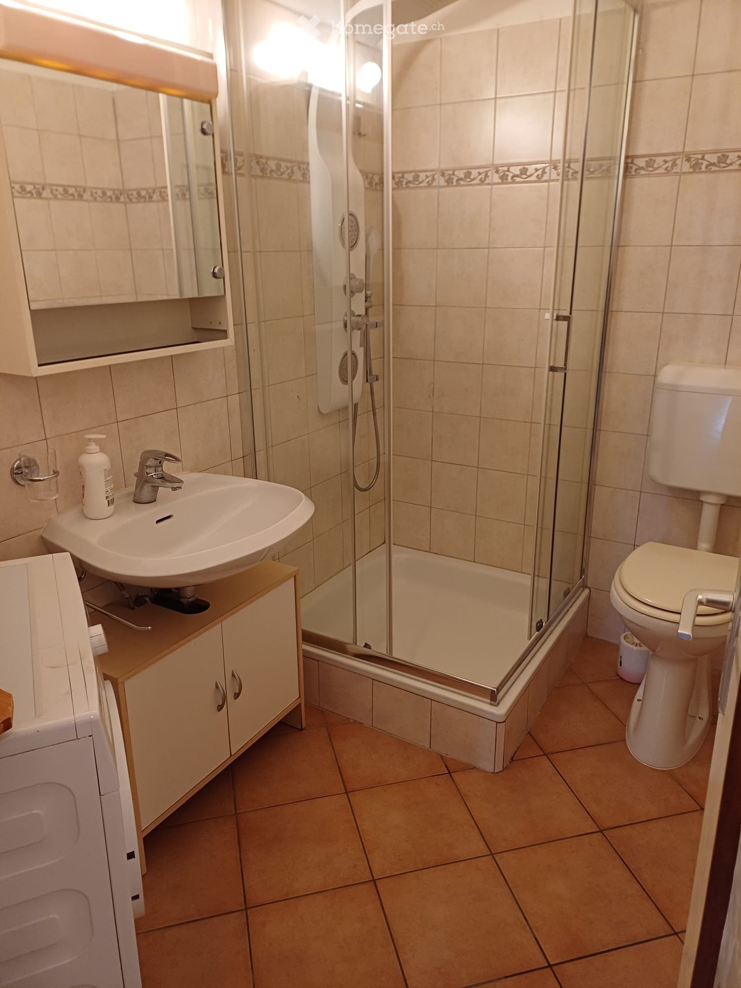 2 ½ Zimmer Wohnung, Foto 4 von 5