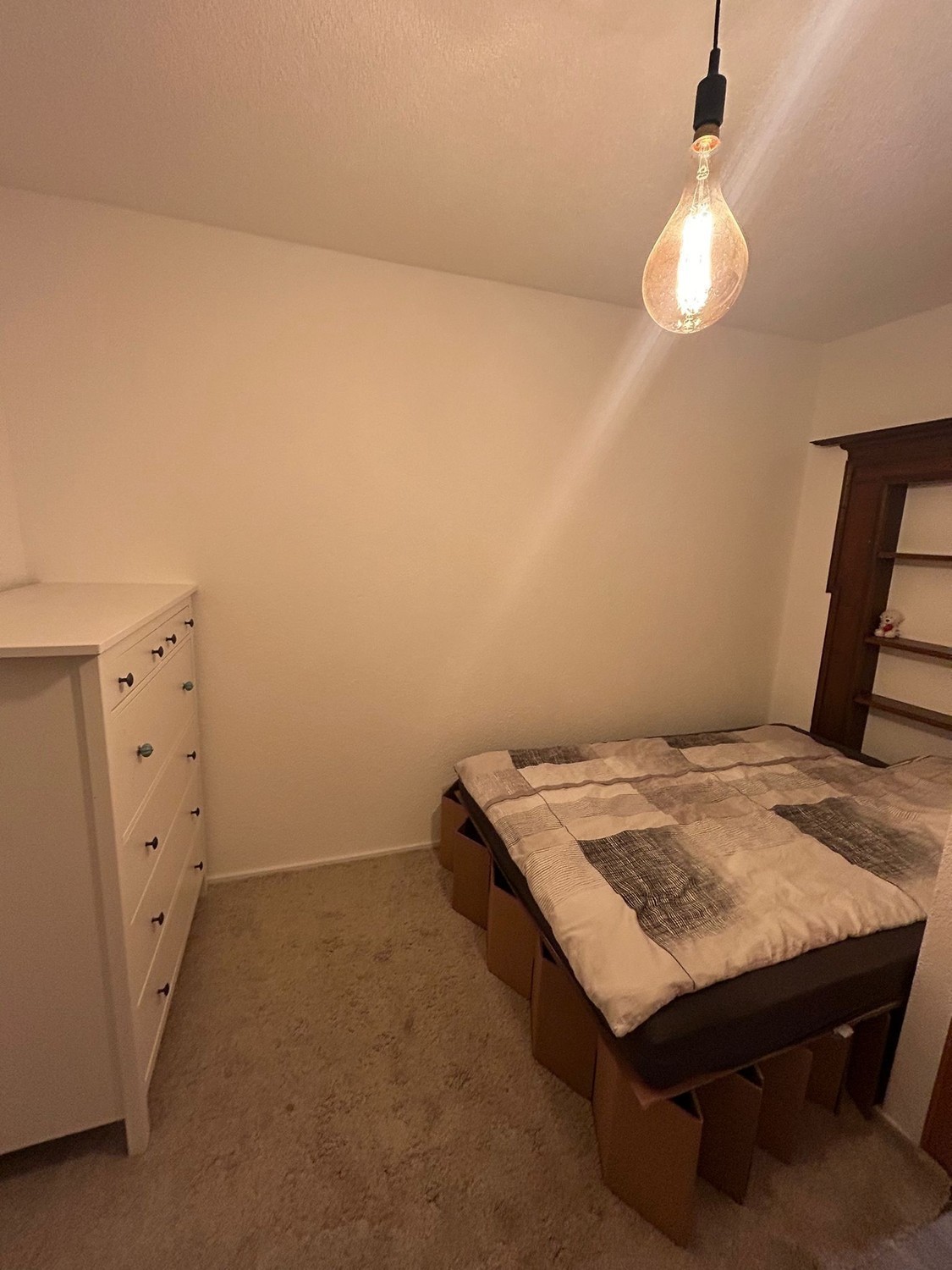 Room in a shared flat