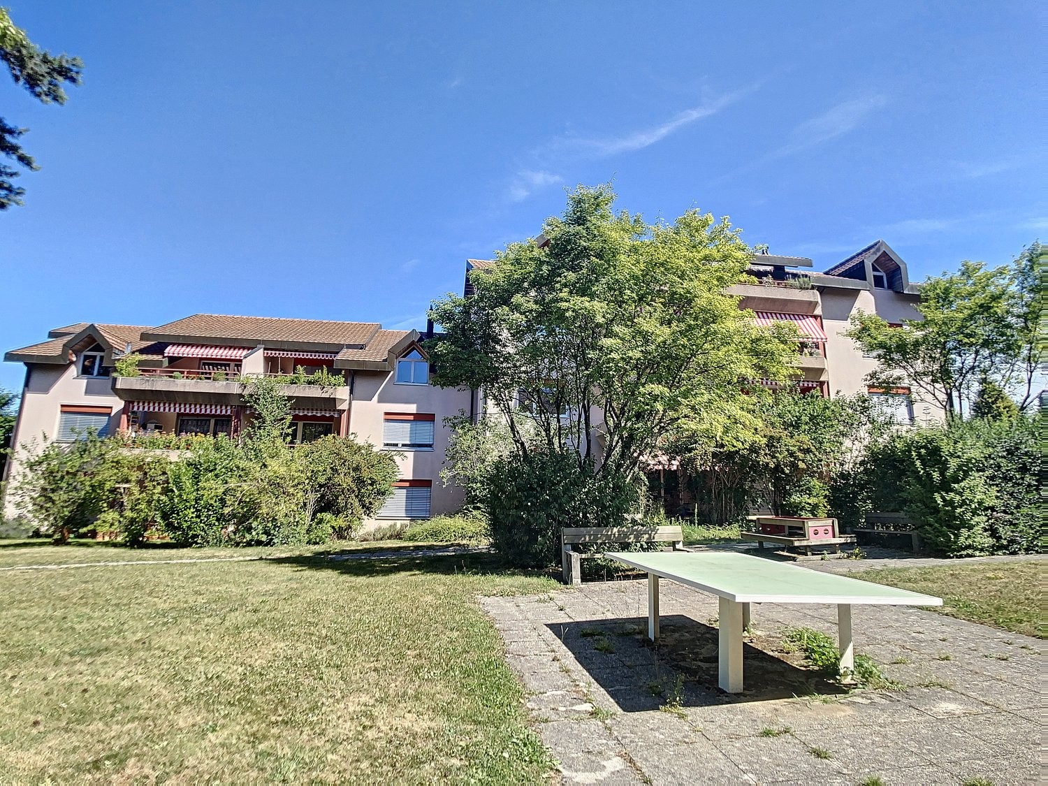 3 ½ Zimmer Wohnung
