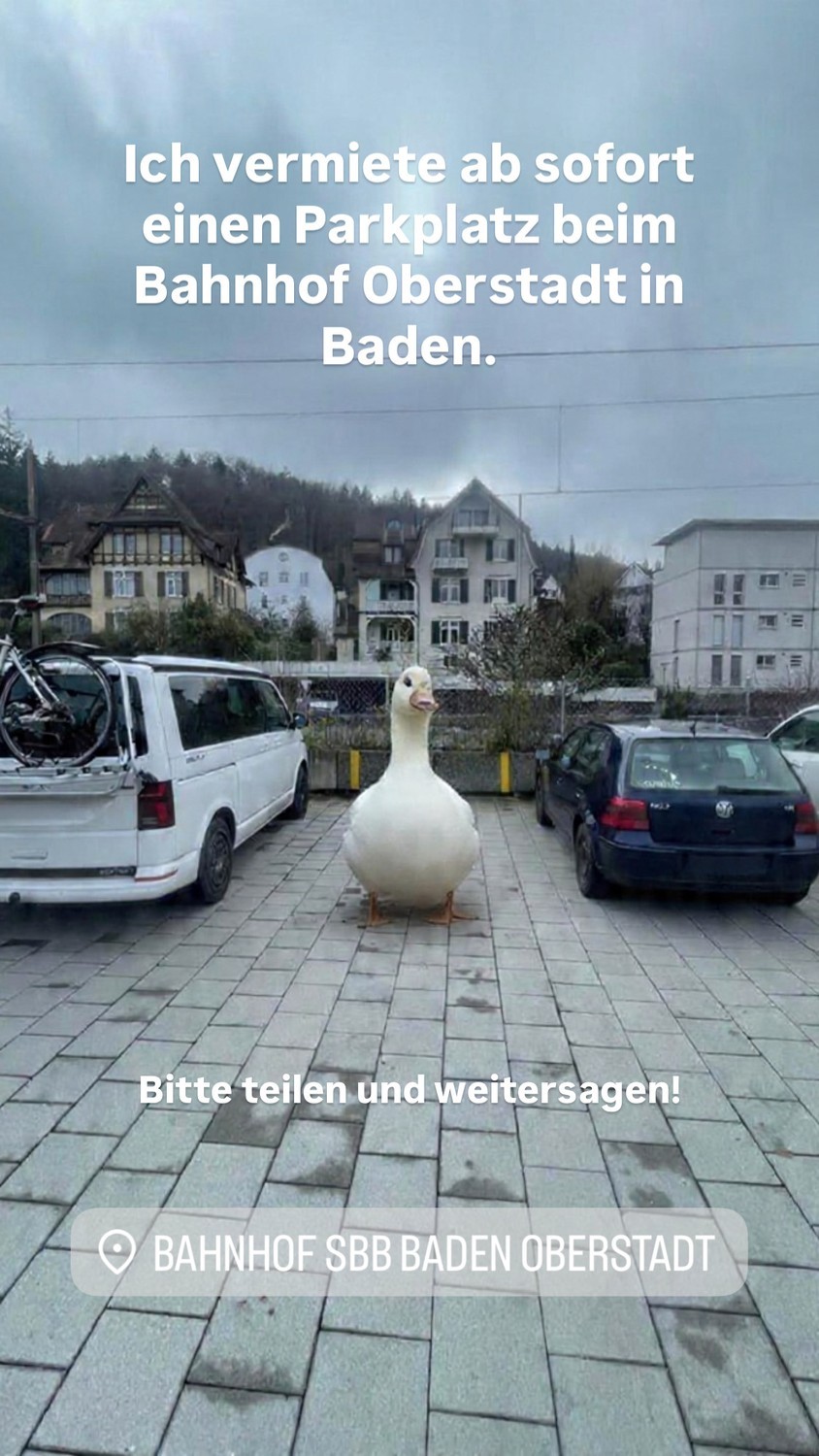 Freier Platz, Foto 2 von 2