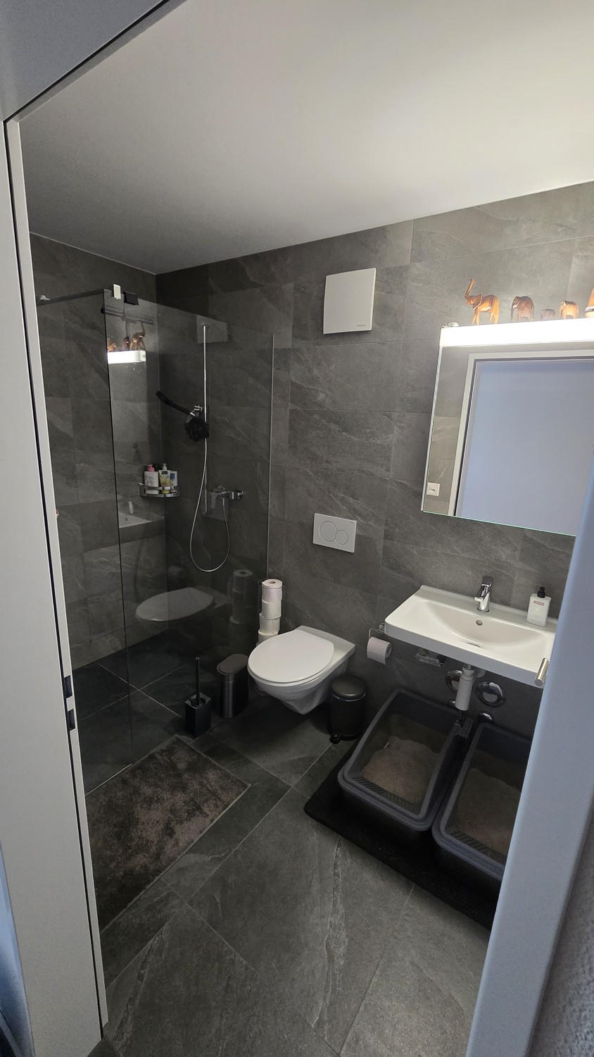 2 ½ rooms apartment, Foto 5 von 6