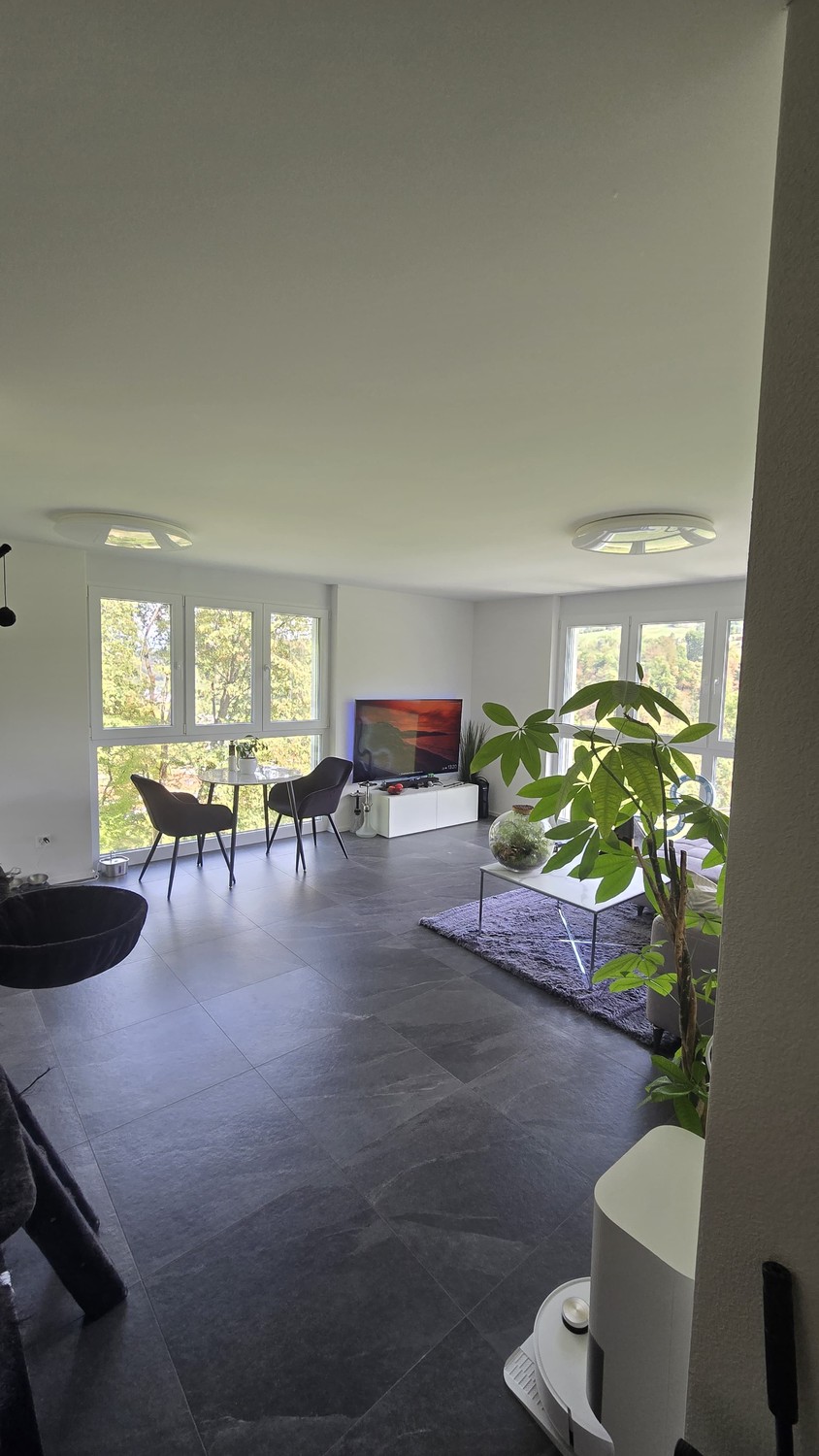 2 ½ rooms apartment, Foto 1 von 6