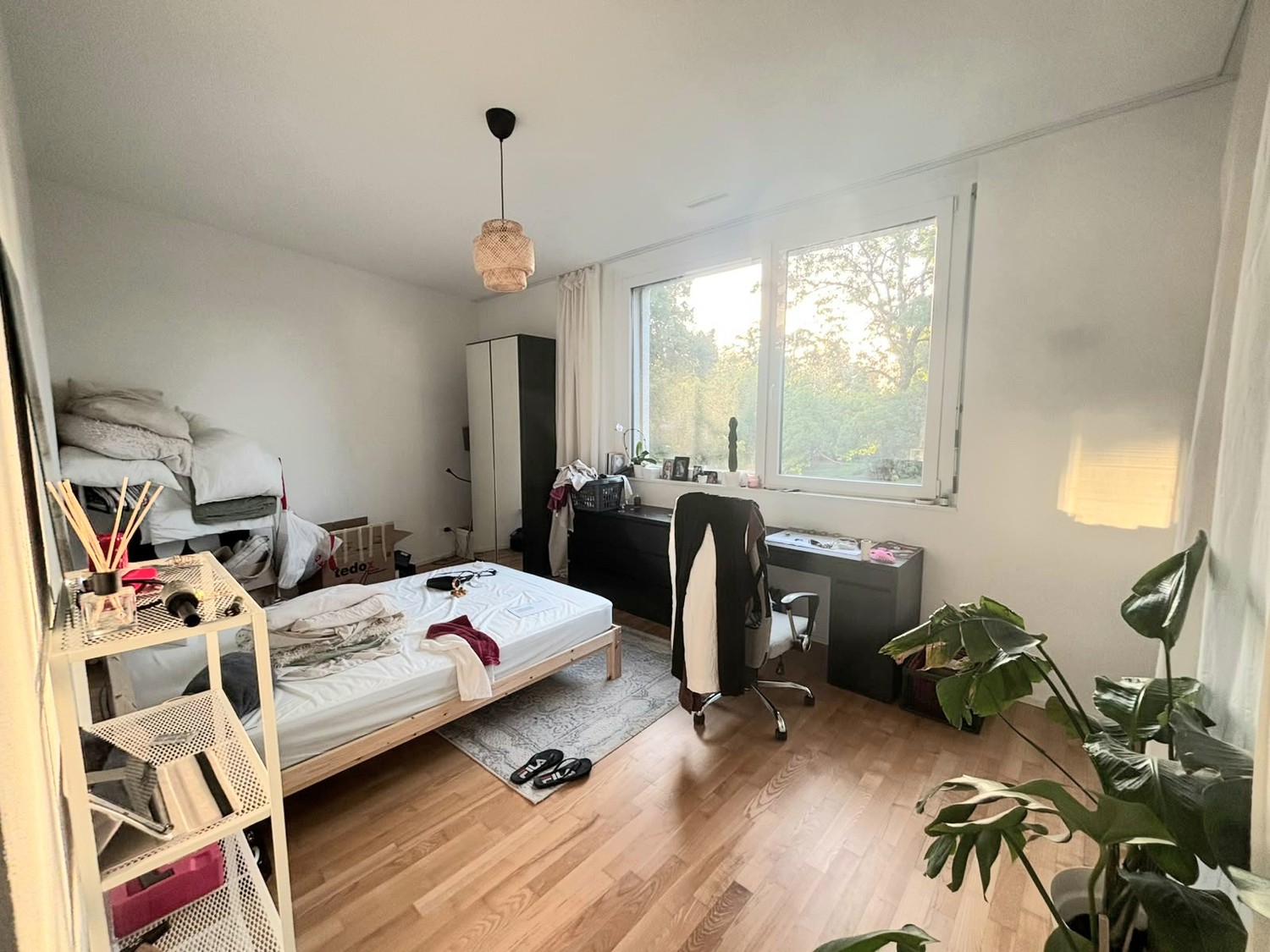 Zimmer in einer WG, Foto 5 von 6