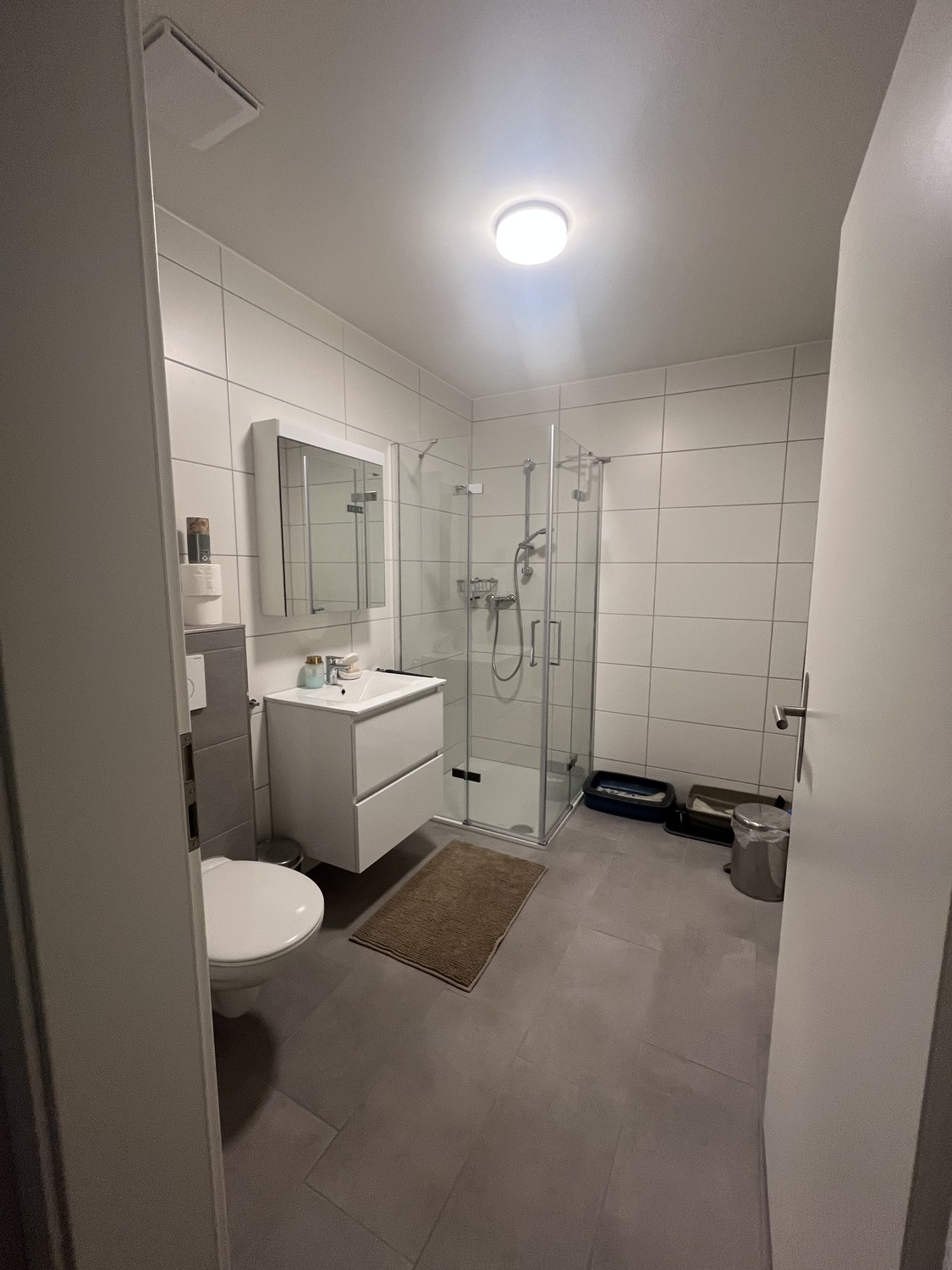 3 ½ rooms apartment, Foto 6 von 10
