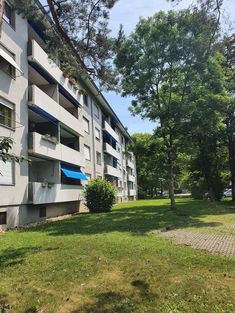 appartamento di 2 locali