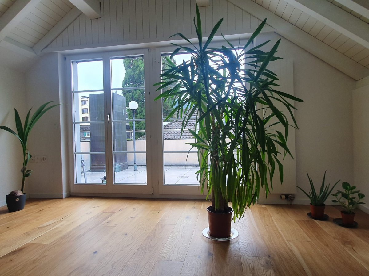 2 ½ rooms roof flat, Foto 1 von 6