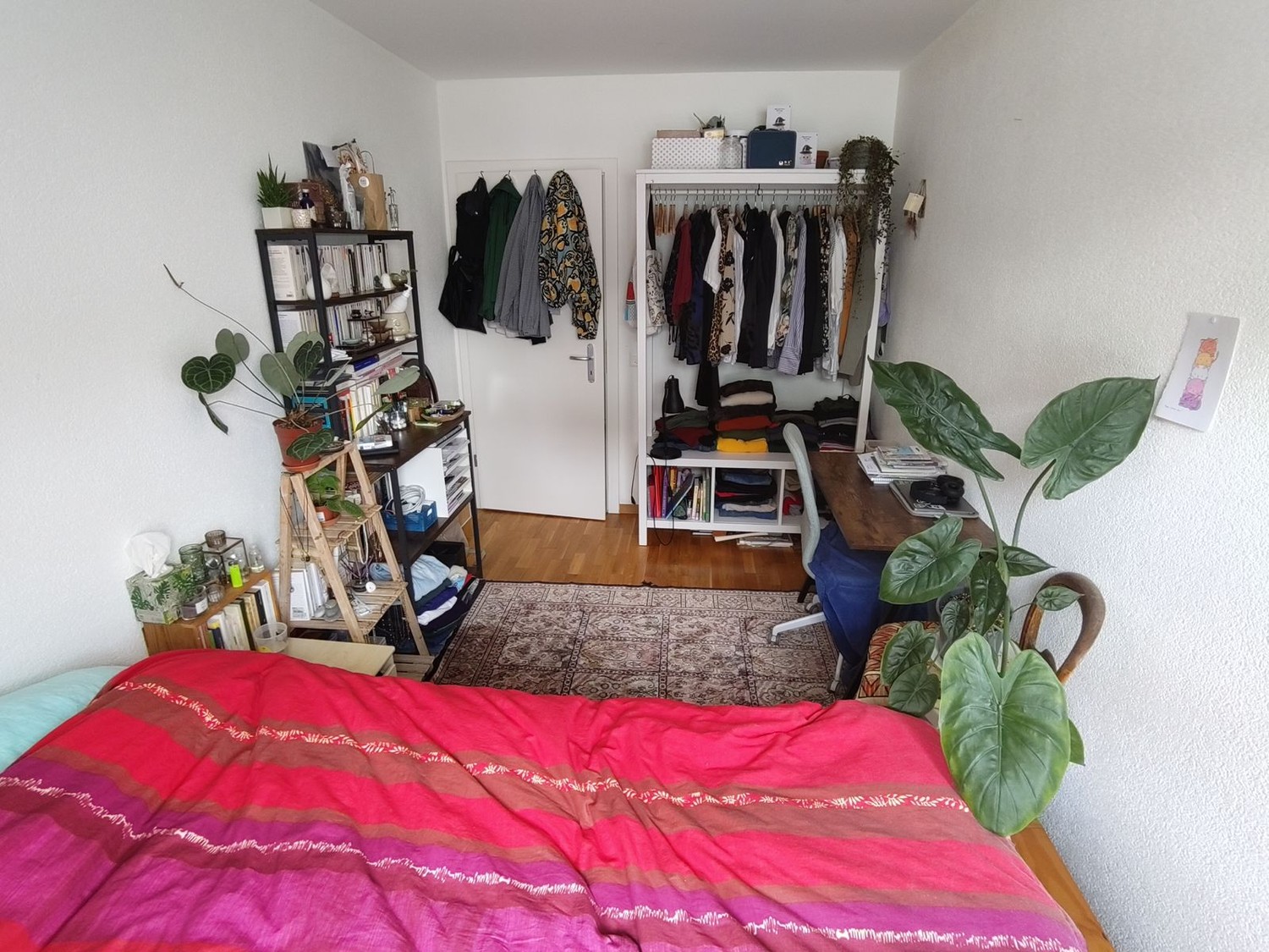 Zimmer in einer WG, Foto 4 von 6