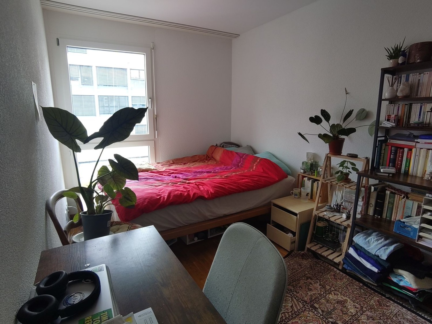Zimmer in einer WG, Foto 3 von 6