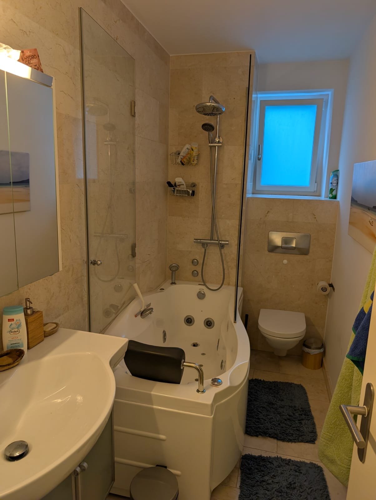 Room in a shared flat