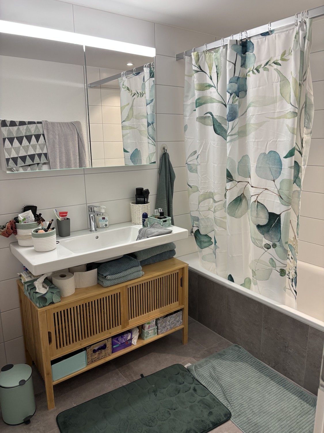 2 ½ rooms apartment