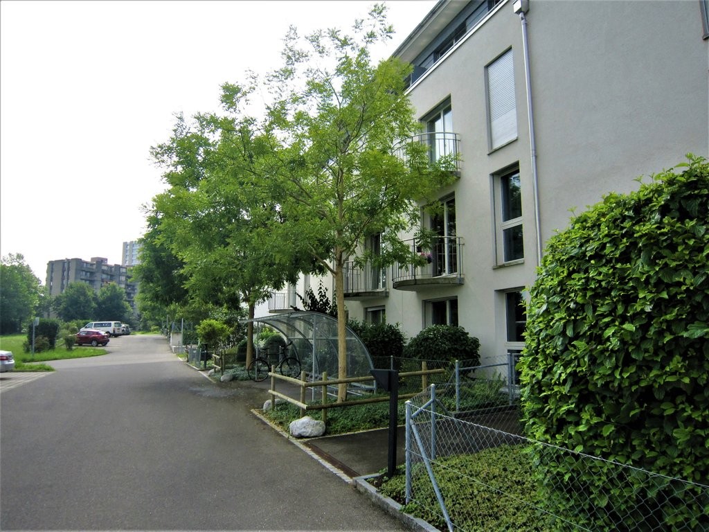 3 ½ rooms apartment, Foto 1 von 9
