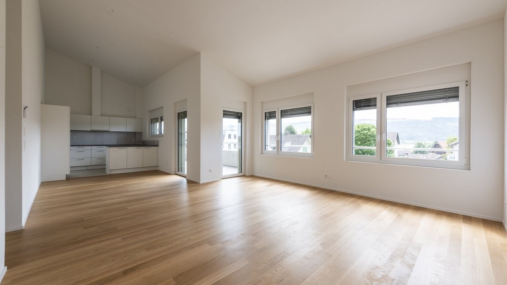 4 ½ rooms apartment (4)