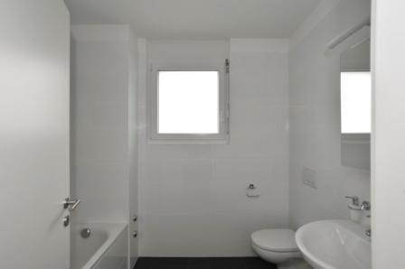 2 ½ Zimmer-Wohnung