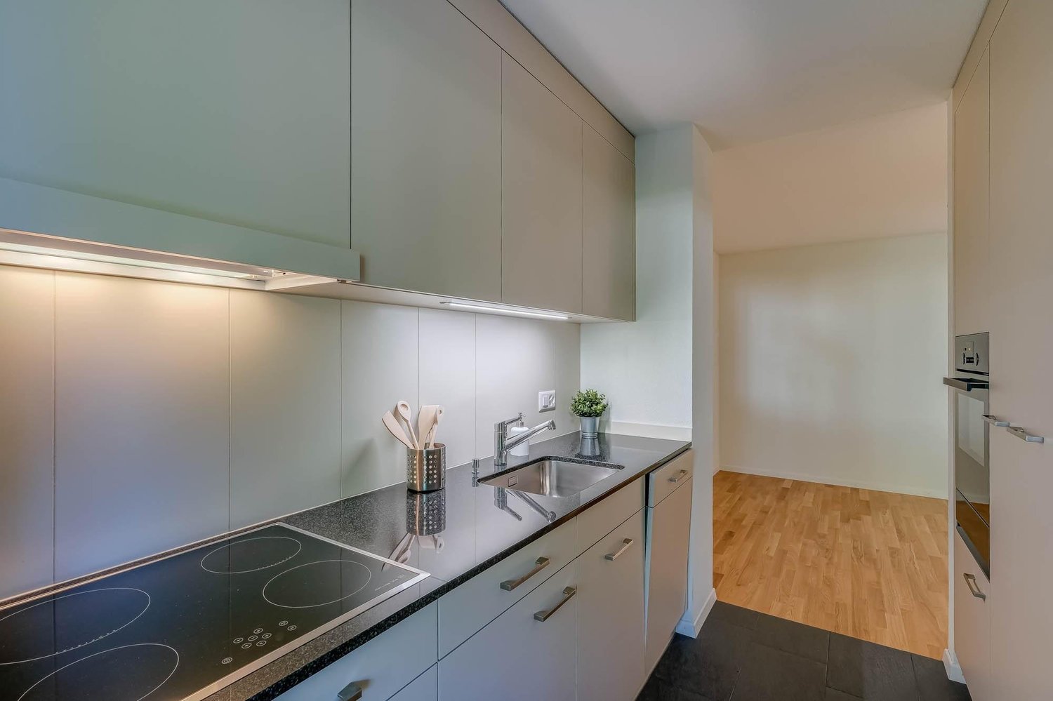 Appartement de 3 ½ pièces