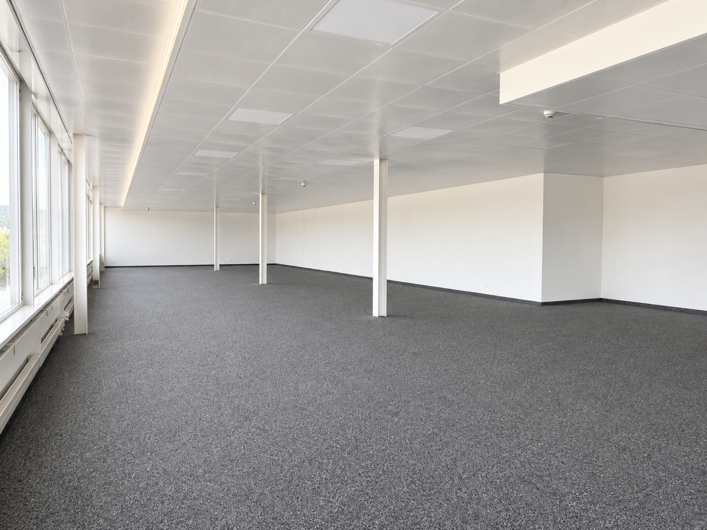 386m² office, Foto 5 von 9