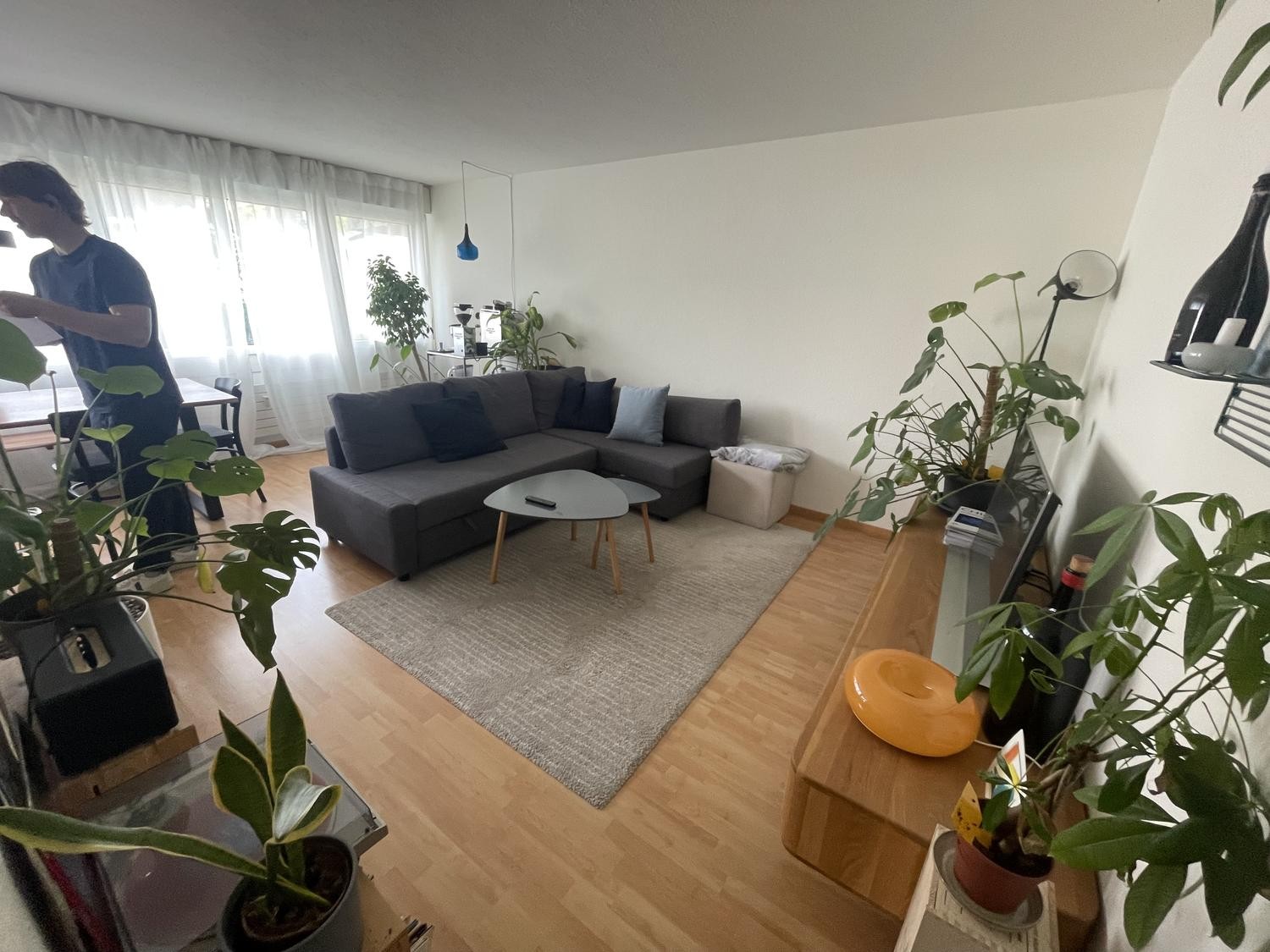 2 ½ rooms apartment, Foto 2 von 7