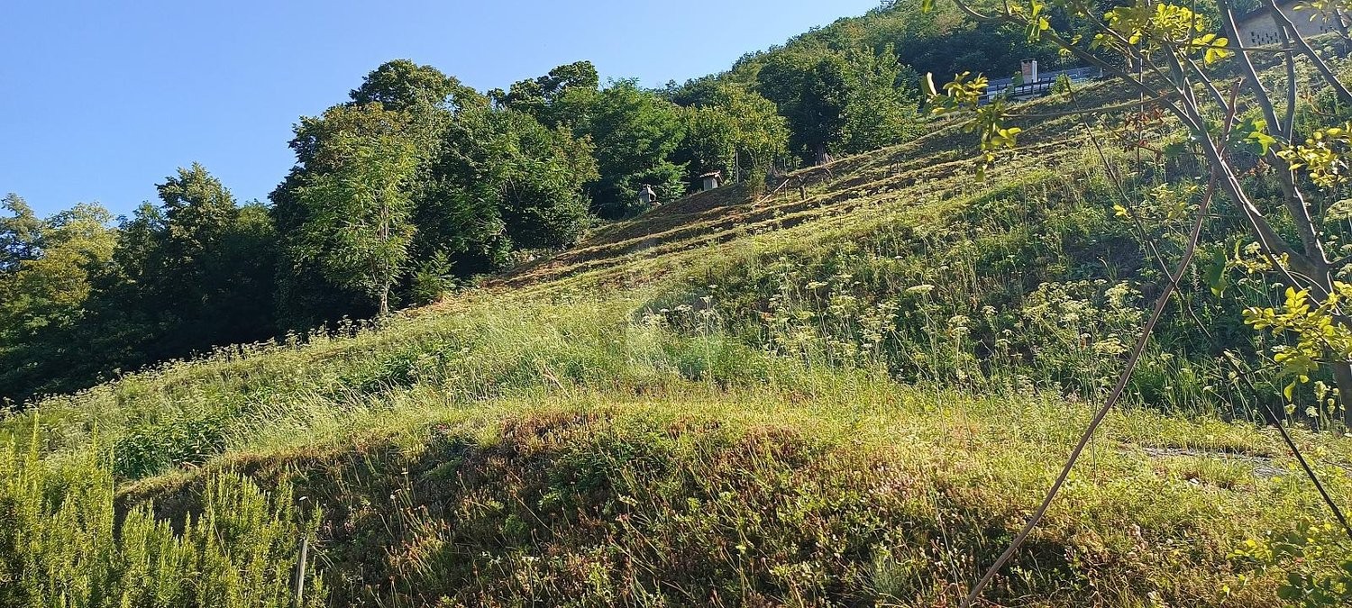 700m² Bauland