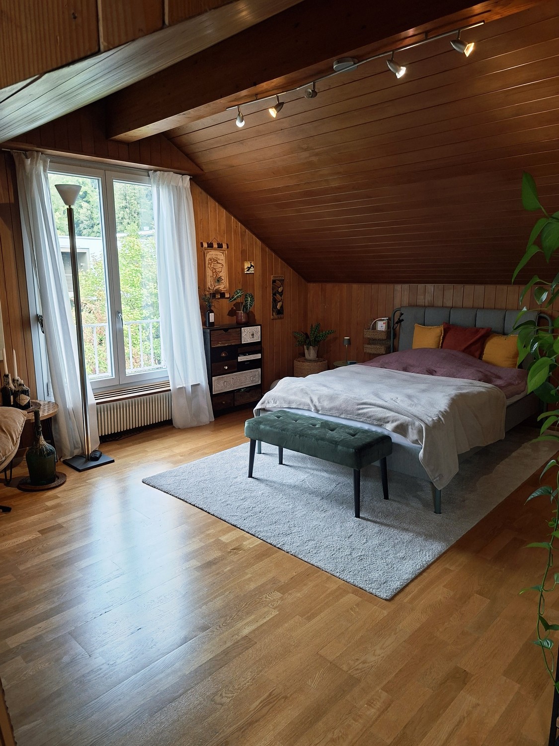 Room in a shared flat