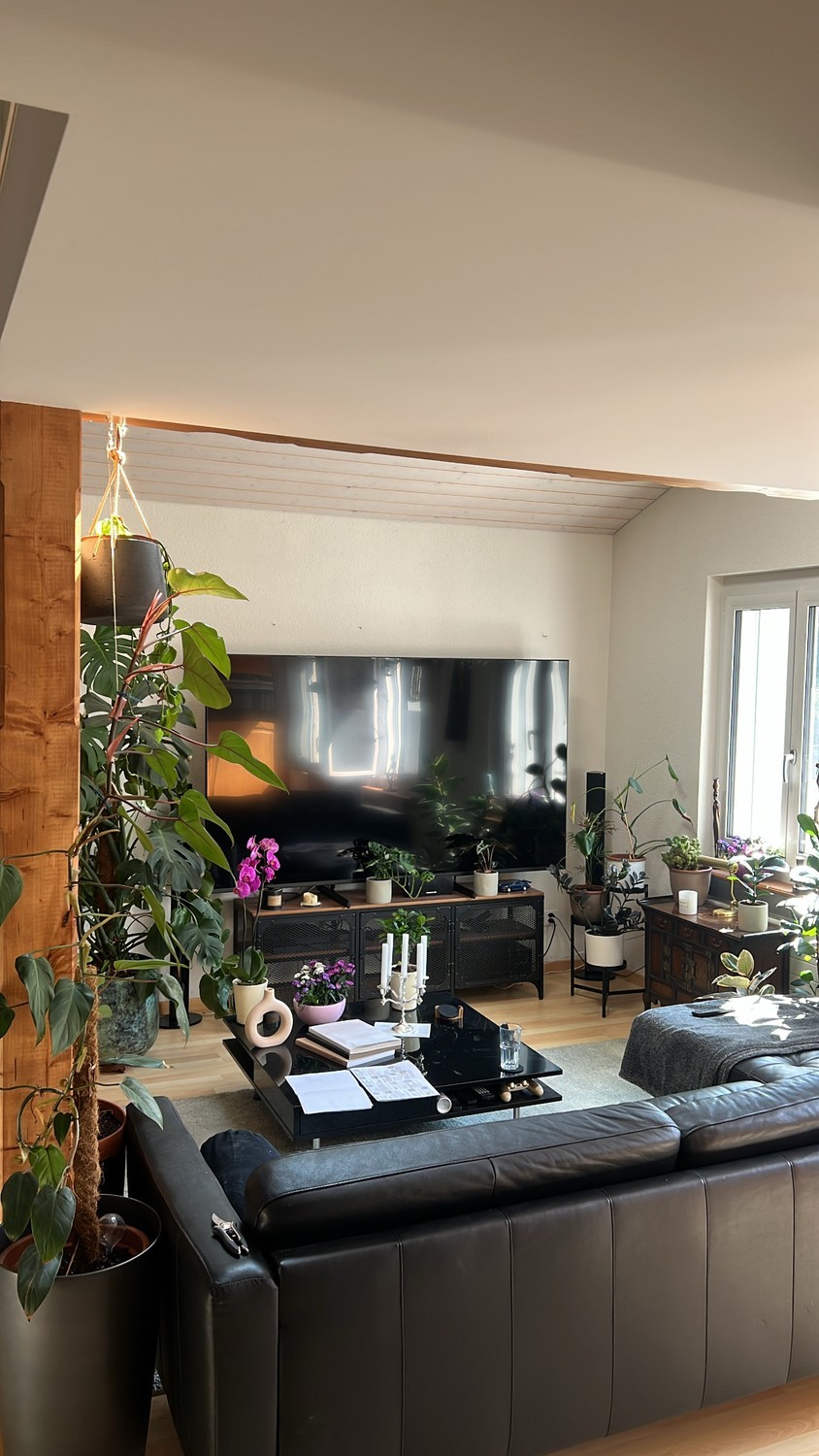 3 ½ rooms apartment, Foto 5 von 8