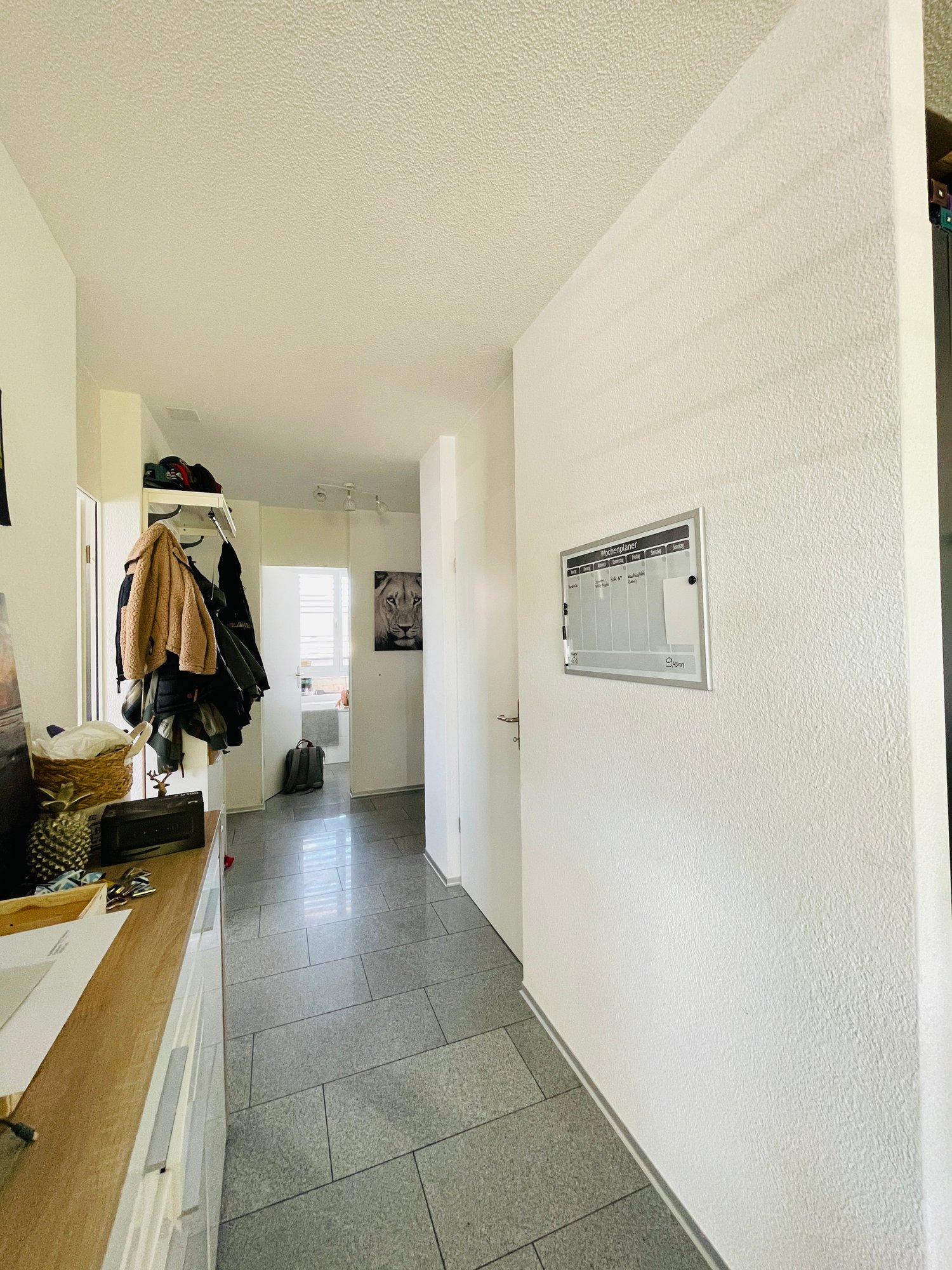 Appartamento di 3 ½ locali