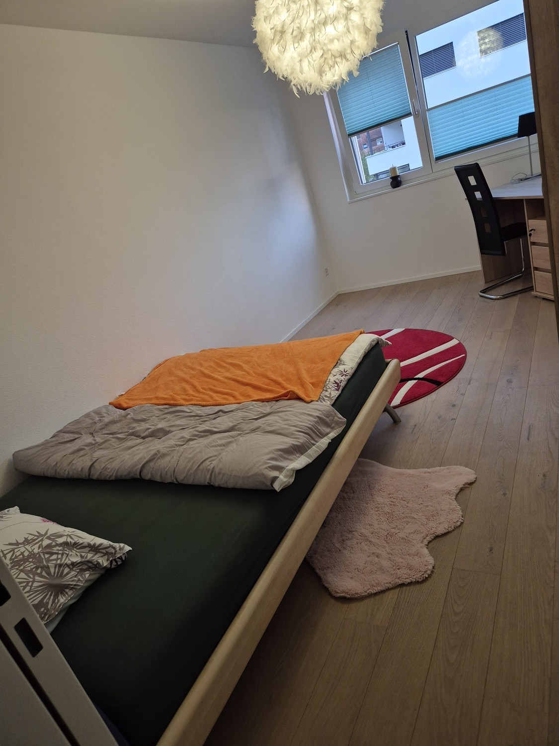Room in a shared flat