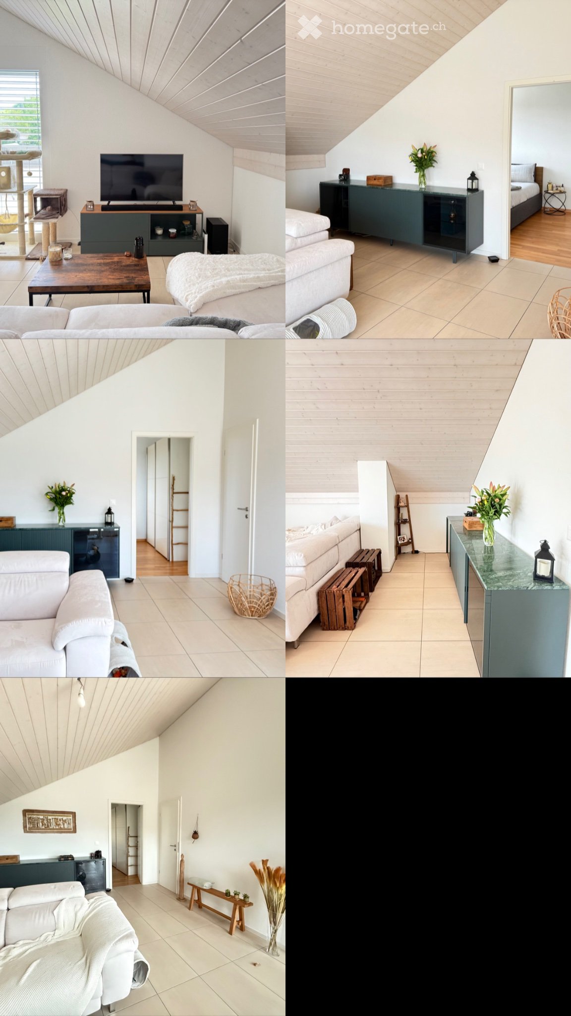 3 ½ Zimmer Wohnung